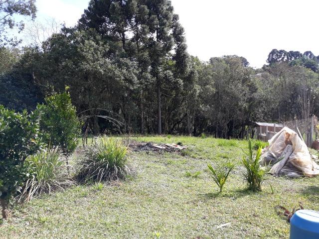 Chácara em Contenda - Urbana - Foto 8