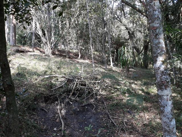Chácara em Contenda - Urbana - Foto 19