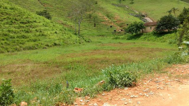 Fazenda de 40 Alqueires - Foto 5