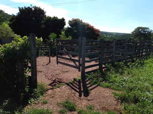 Fazenda no município de Bonfinópolis 24 alqueires - Foto 7
