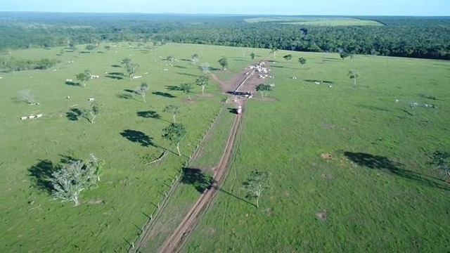 Fazenda em Paranatinga-MT, 6.300 hectares. - Foto 2