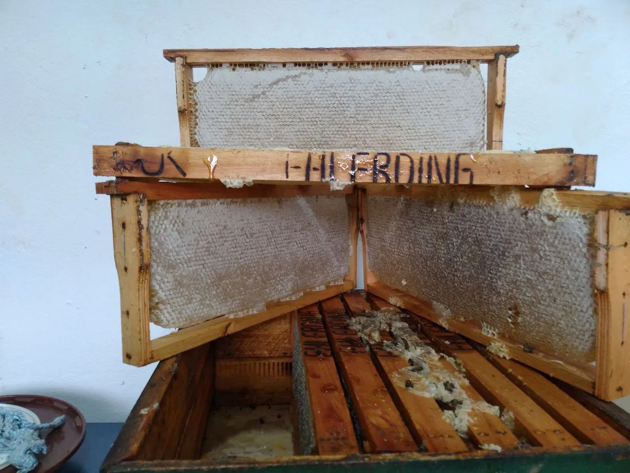 Mel de laranjeira e cipó uva - Foto 4