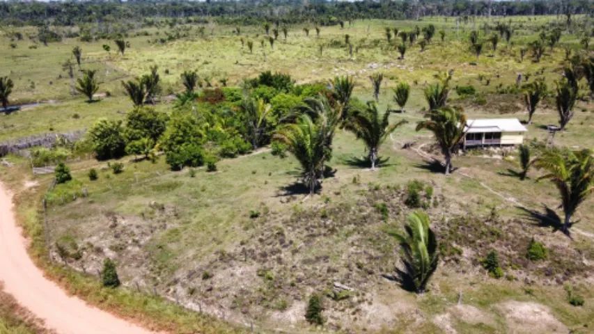 Vendo dois lotes no sul de Roraima.  - Foto 5