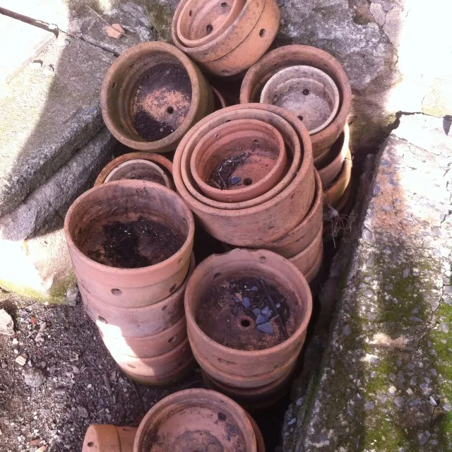 Vasos para orquídeas