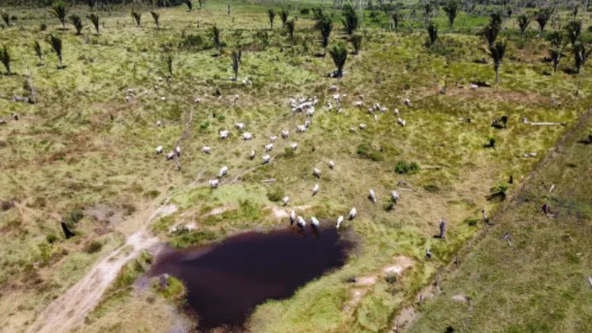 Vendo dois lotes no sul de Roraima.  - Foto 7