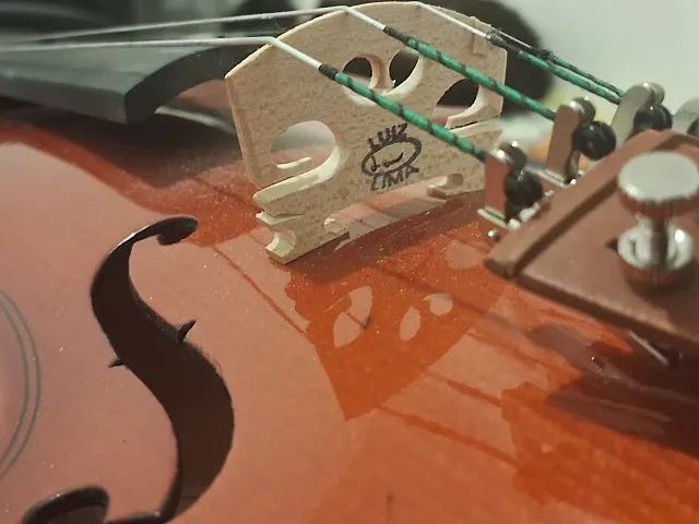 Violino 4/4 Hofma Eagle HVE241 ajustado por luthier (Novo) - Foto 5