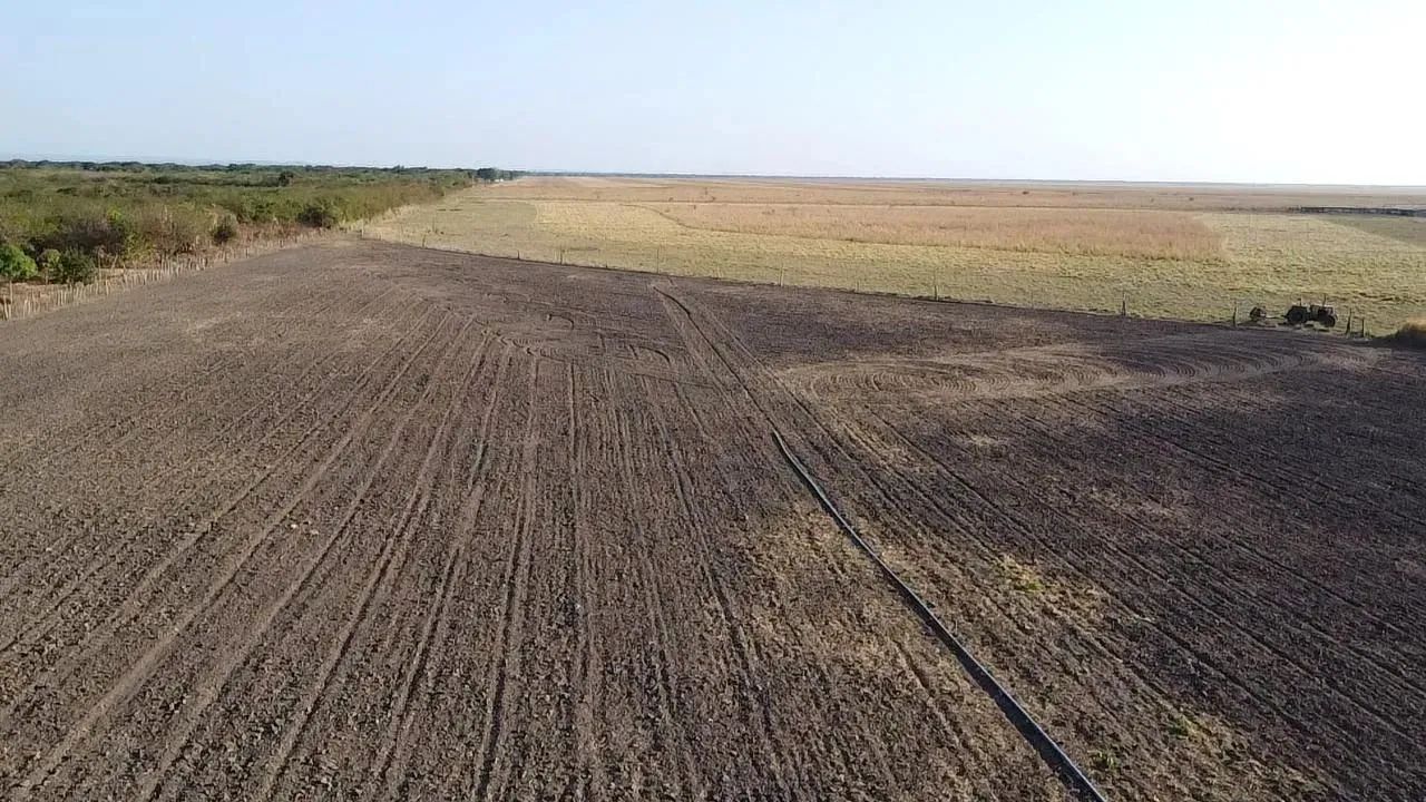 Confinamento bovino  á venda no Piauí,  irrigado por pivô central  em 50 hectares  e ótima - Foto 5