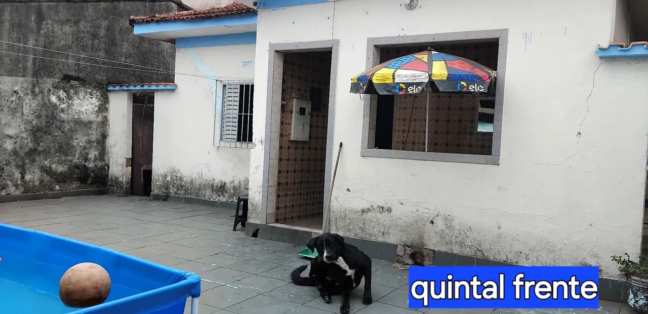 Foto - Santos - Saboó