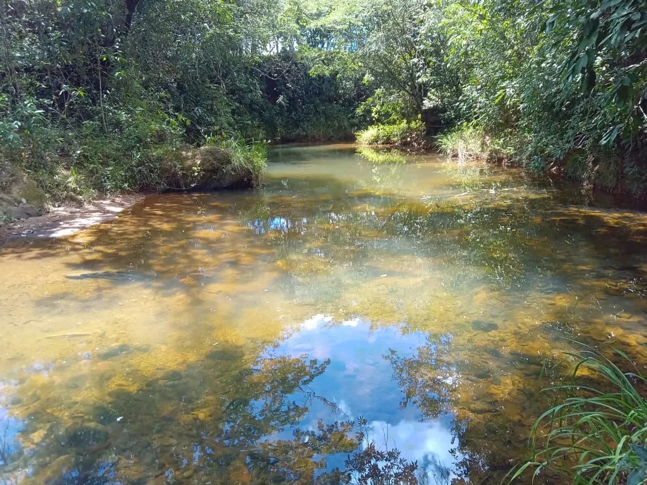 SÍTIO A VENDA REGIÃO DA SERRA DA CANASTRA.  - Foto 3