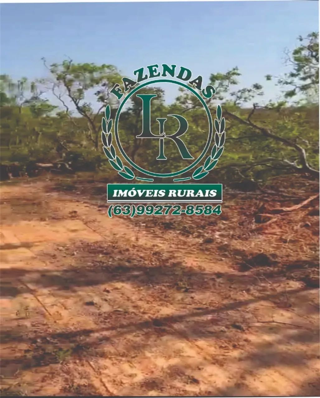 Fazenda Bruta de 132 Alqueires Tocantins - Foto 2