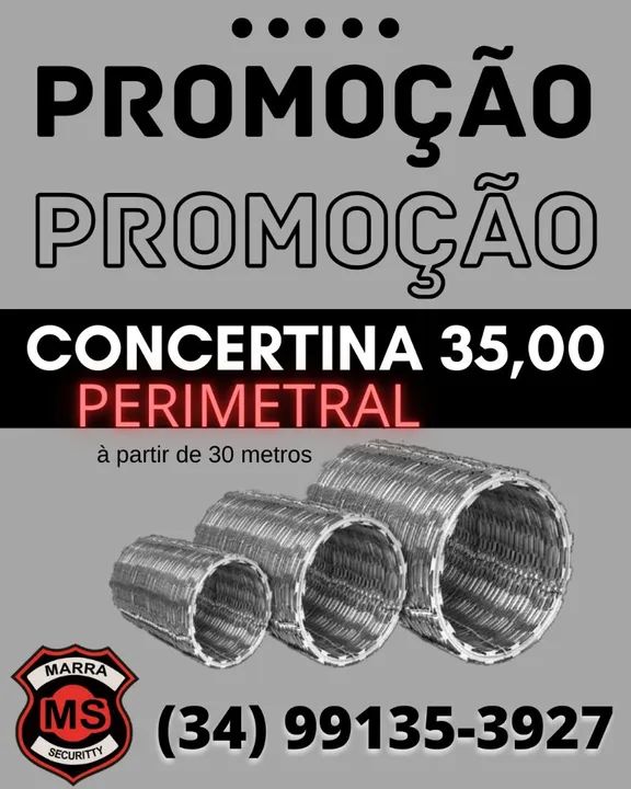 Concertina Perimetral Dupla Clipada - Segurança Reforçada - Foto 2
