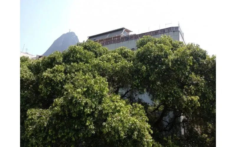 Botafogo 3 quartosBotafogo 3 quartos - Foto 9