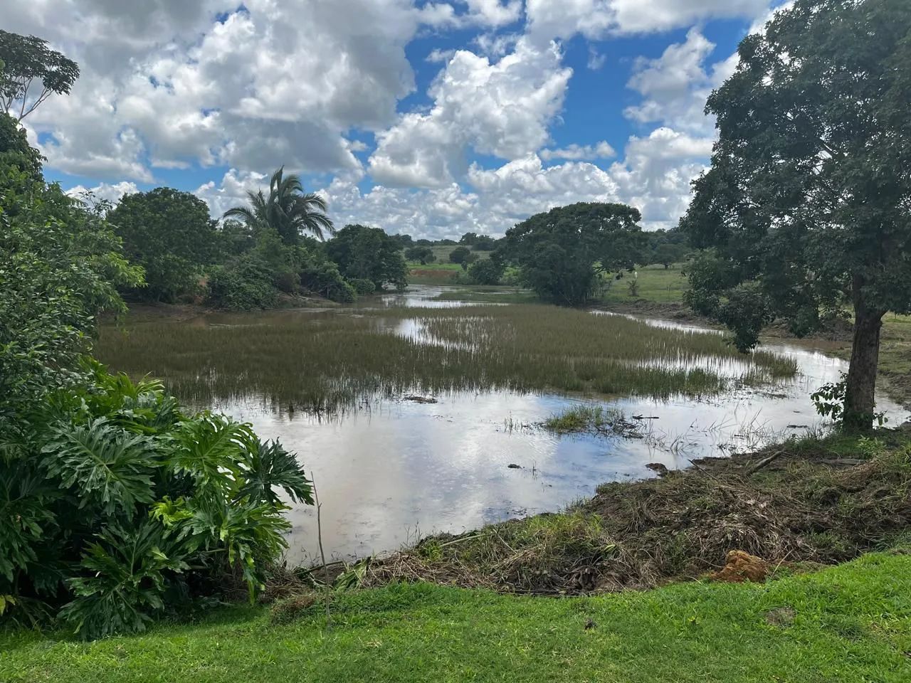 Ótima chácara em novo Brasil GO  - Foto 5