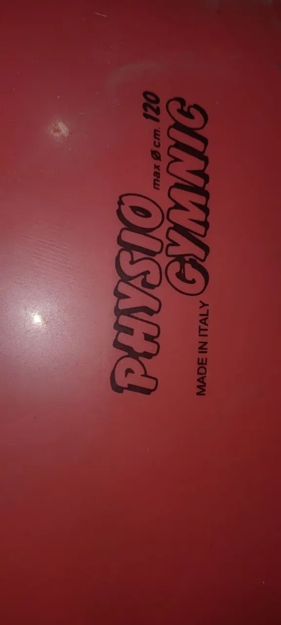 Bola fisioterapia Gymnic Italiana 120cm - Foto 2