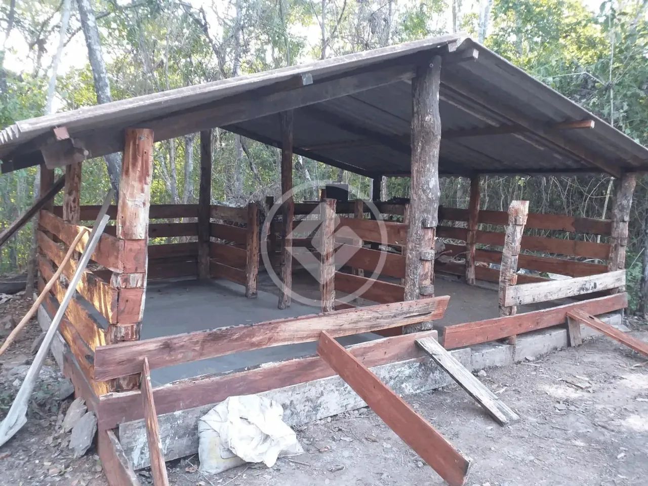 Fazenda, sentido cacéres, porteira fechada, com 35 vacas, 2 éguas, trator 265 com lamina,  - Foto 5