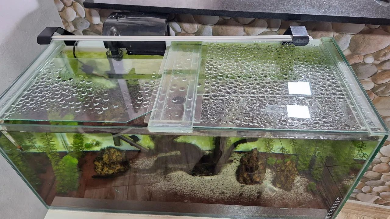 Aquário 150 litros Completo com Móvel e Iluminação. - Foto 4