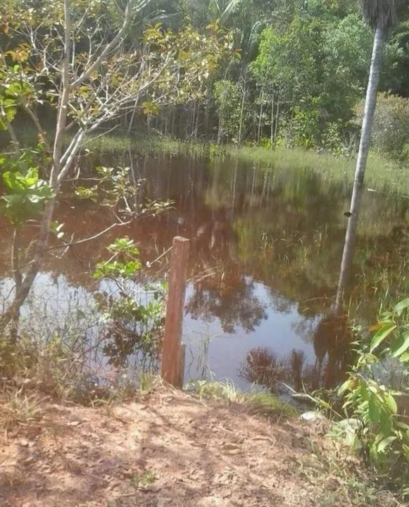 SÍTIO DOS SONHOS À VENDA! 582.000m² DE PURA NATUREZA EM PRESIDENTE FIGUEIREDO-AM - Foto 3