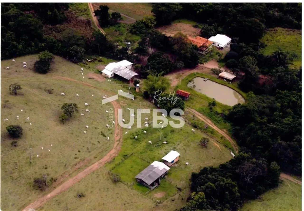 Fazenda Ponte de Pedra a venda, localizada em Corumbá de Goiás  tradição, abundância hídri - Foto 3