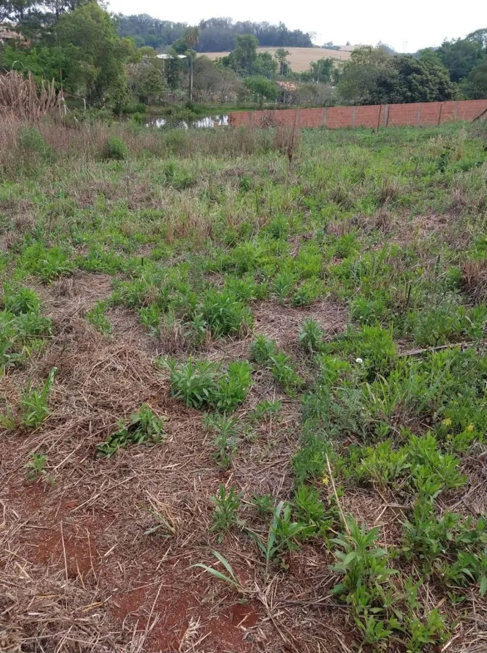 CHÁCARA GUARAVERA  - Foto 2