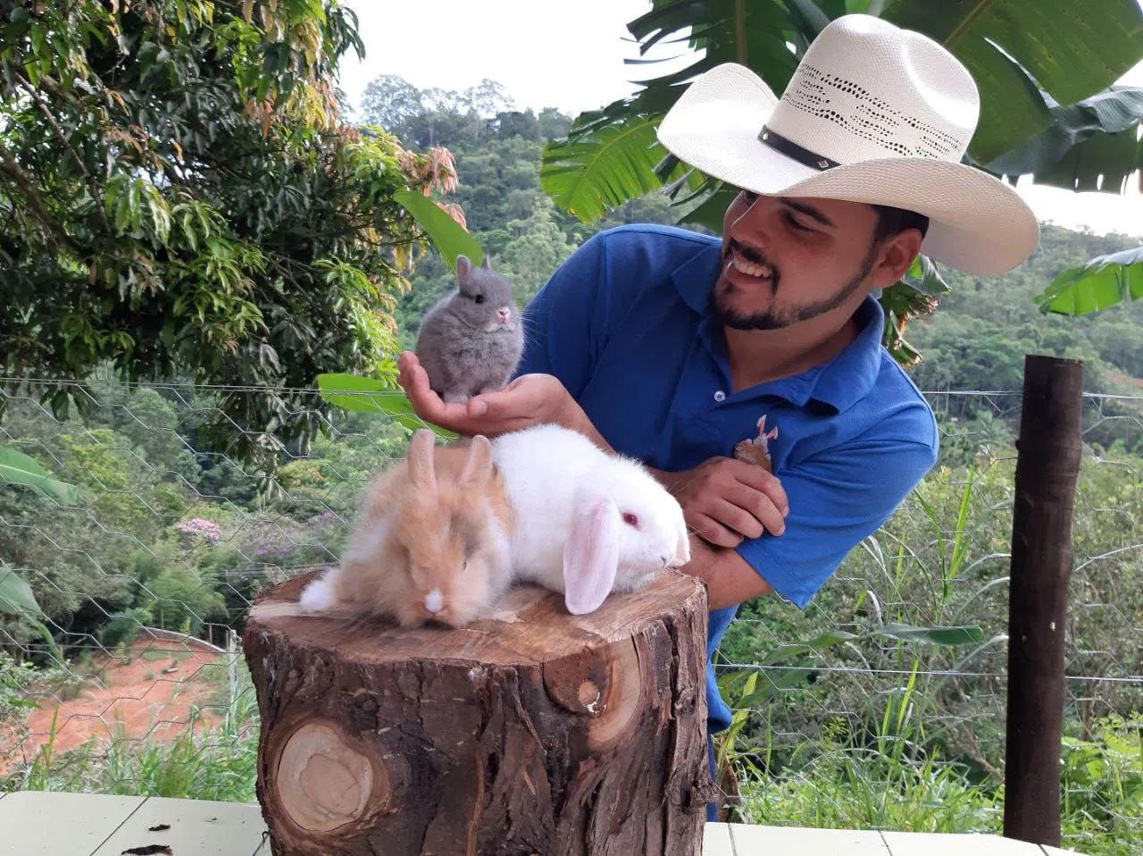 MENOR E MAIOR RACA DE COELHO DE COMPANHIA DO MUNDO (CRIATÓRIO LEGALIZADO) - Foto 2