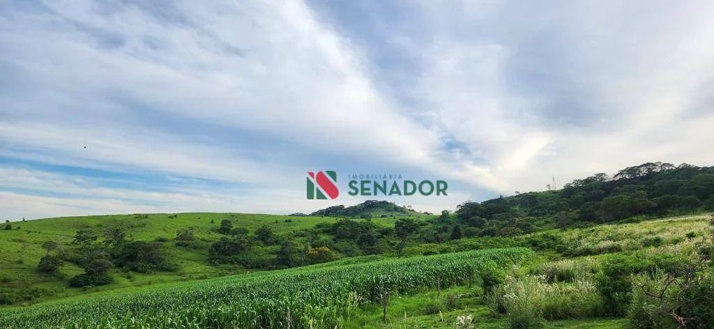 Fazenda à venda, 171 Alq-SP por R$ 43.000.000 - Jataizinho - Jataizinho/PR - Foto 2