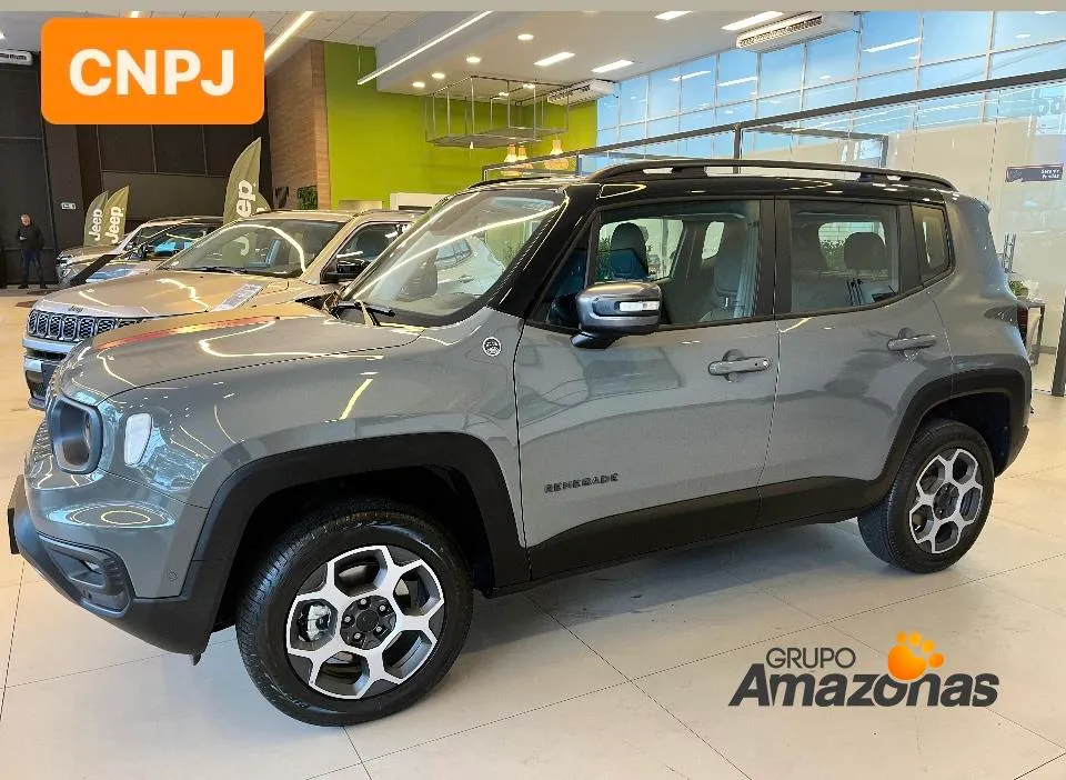 JEEP RENEGADE 1.3 T270 TURBO FLEX TRAILHAWK 4X4 AT9