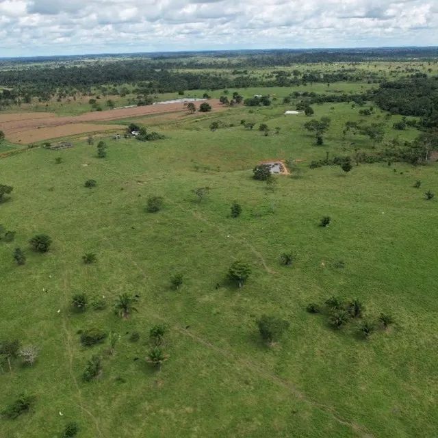 Fazenda Plácido de Castro - Foto 3