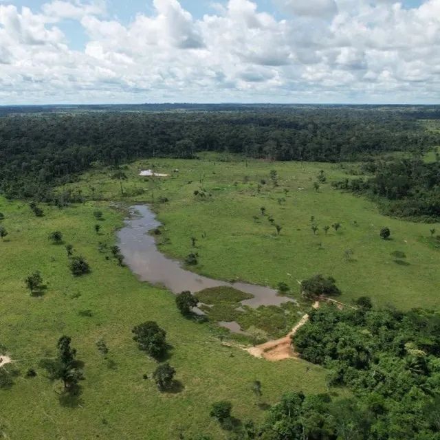 Fazenda Plácido de Castro - Foto 5