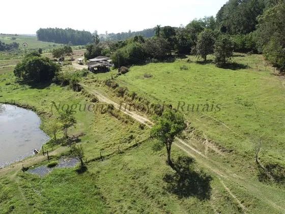 Haras à venda na região de Itapetininga-SP - Foto 2
