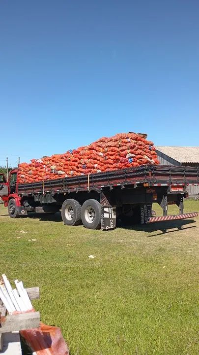 Vendo caminhão  - Foto 4