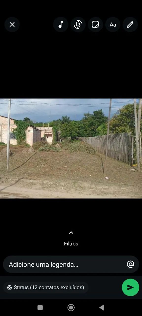 Limpeza de terreno 