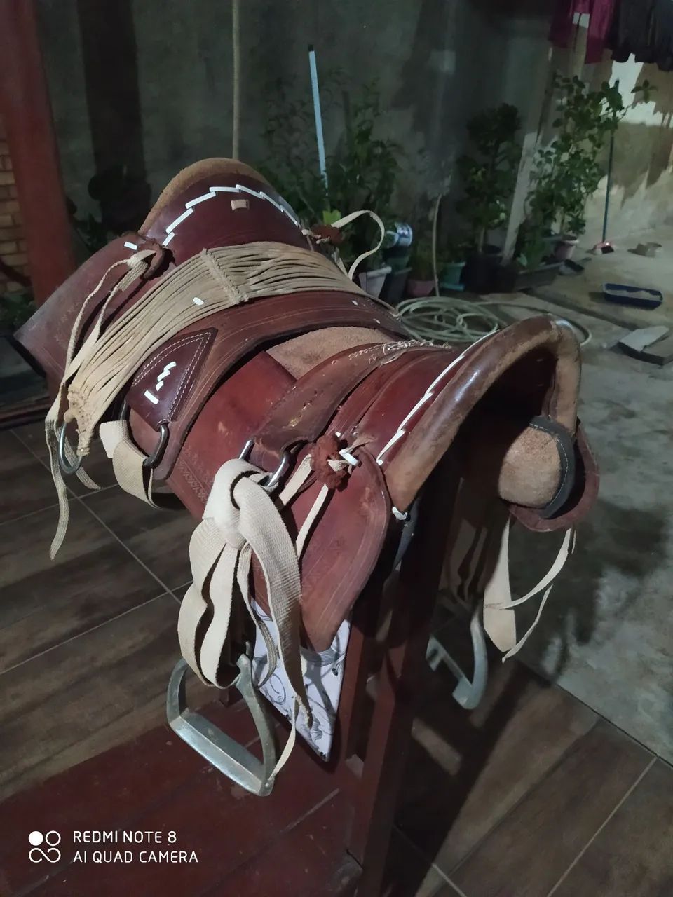 Cela pra cavalo  - Foto 2