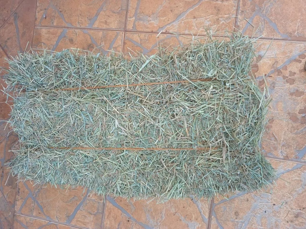 Feno Tipo A entrega grátis para todo o DF - Foto 2