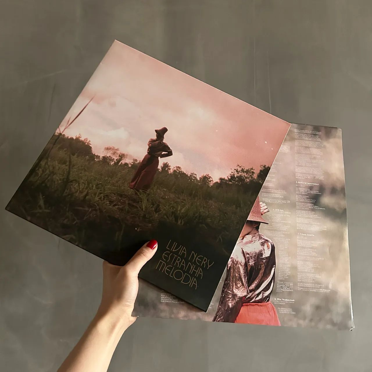 Vinil LP - Livia Nery