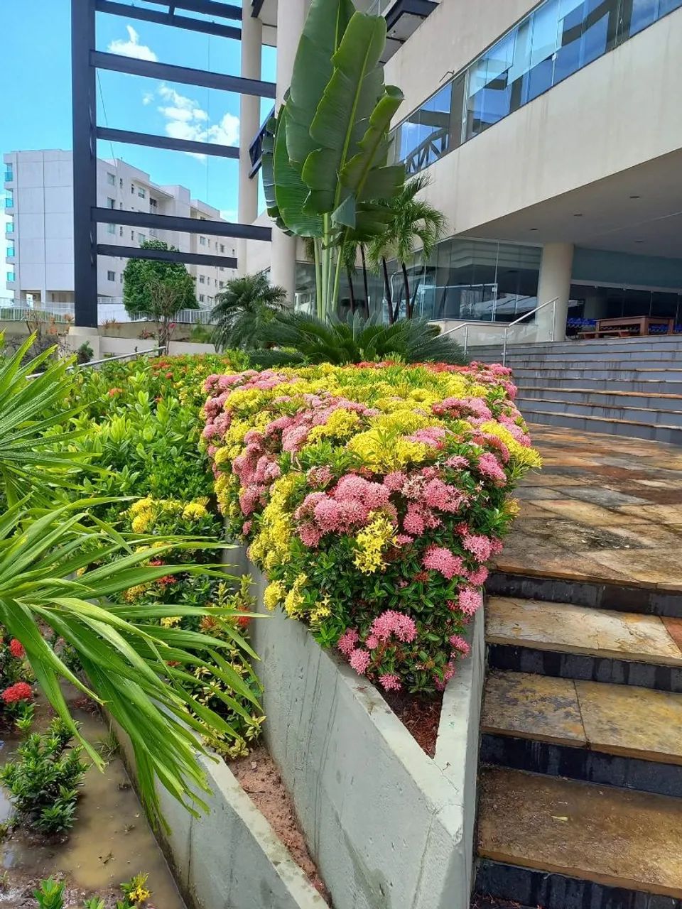 JARDINEIRO - Servicos de Jardinagem  - Foto 4