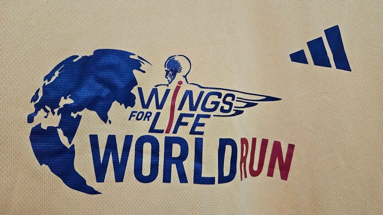 Camiseta adidas world run original. G - Foto 2