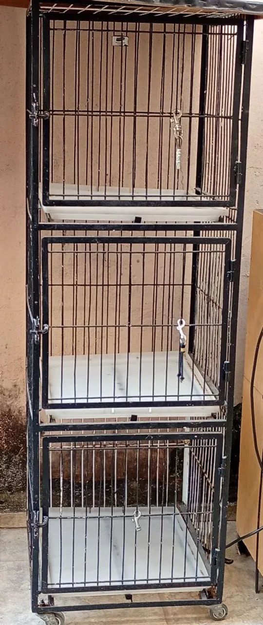 Secador e jaula p/pet shop 