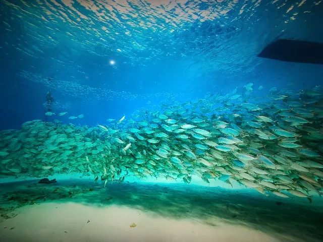 Smart TV 4K LG 50NANO75 - 50 Polegadas Nanocell - Foto 2