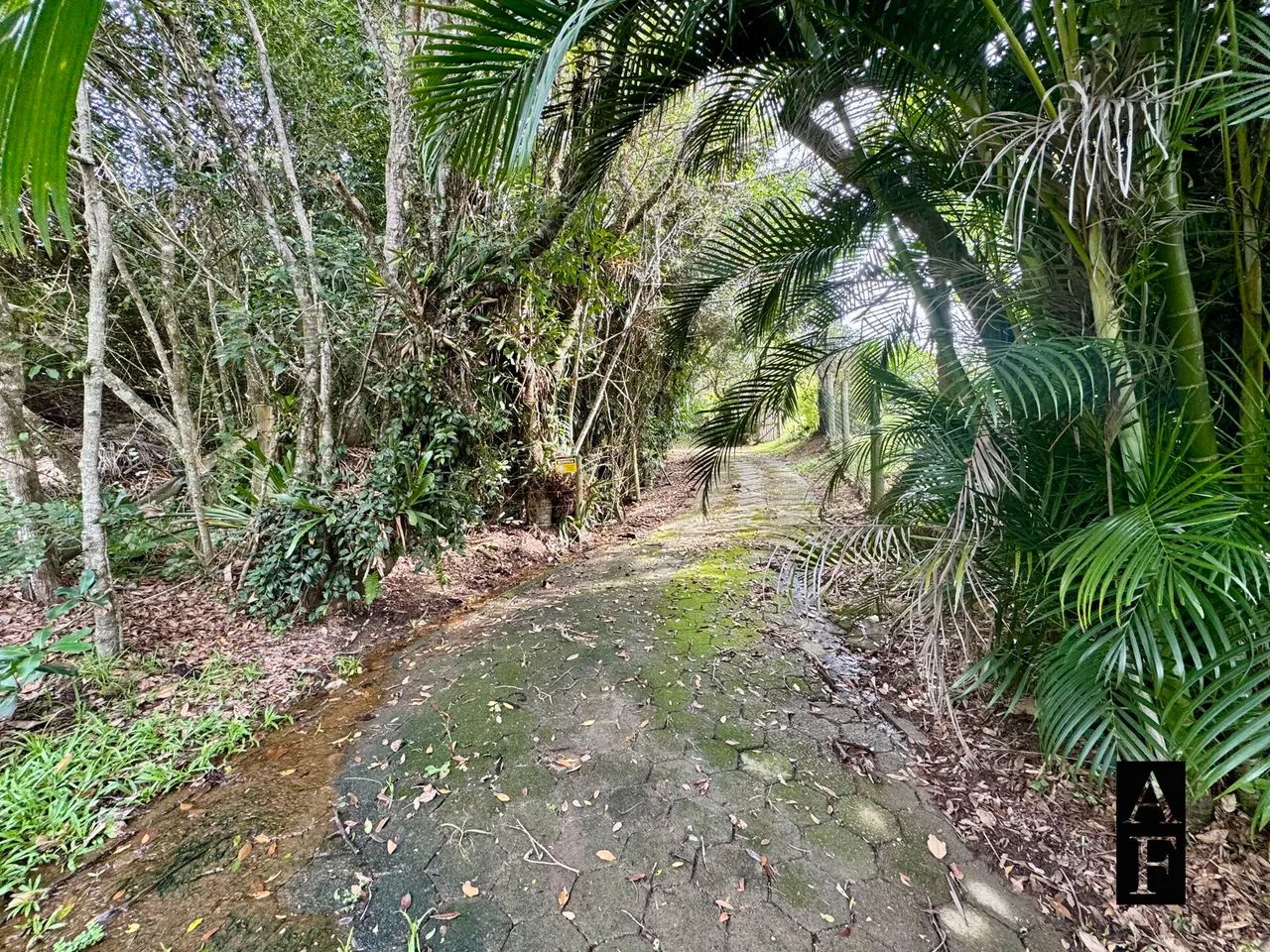 Terreno em Garopaba na Silveira - Foto 5