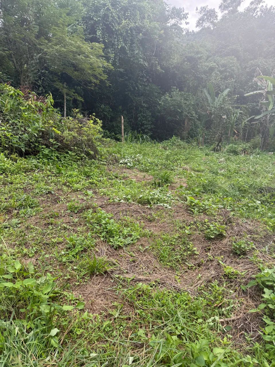 Terreno Banqueta  - Foto 5