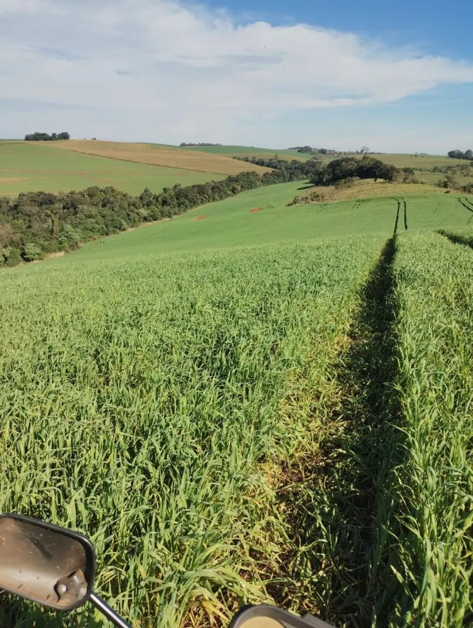 Fazenda  a venda  - Foto 4