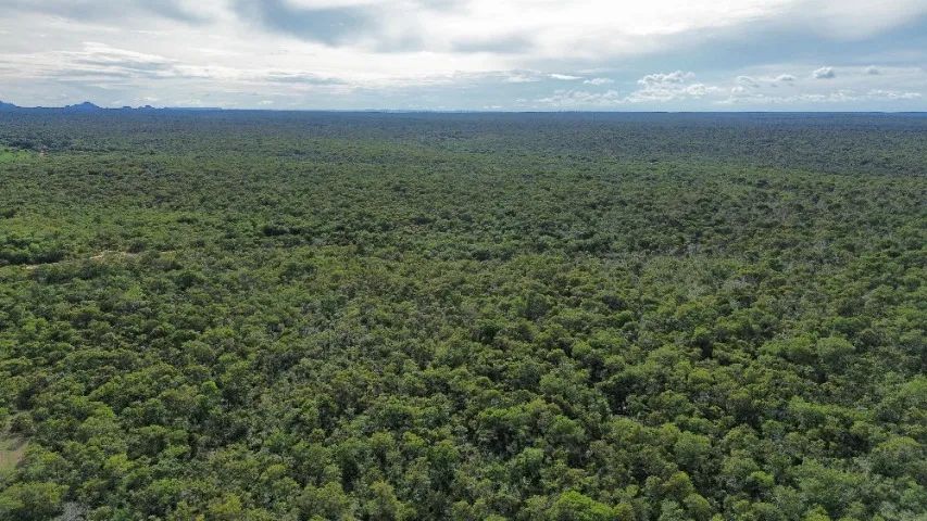 Fazenda documentada- 1.000 hectares 