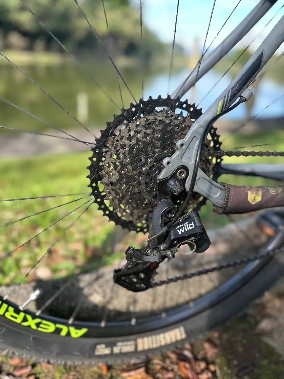 Bike oggi - Foto 2