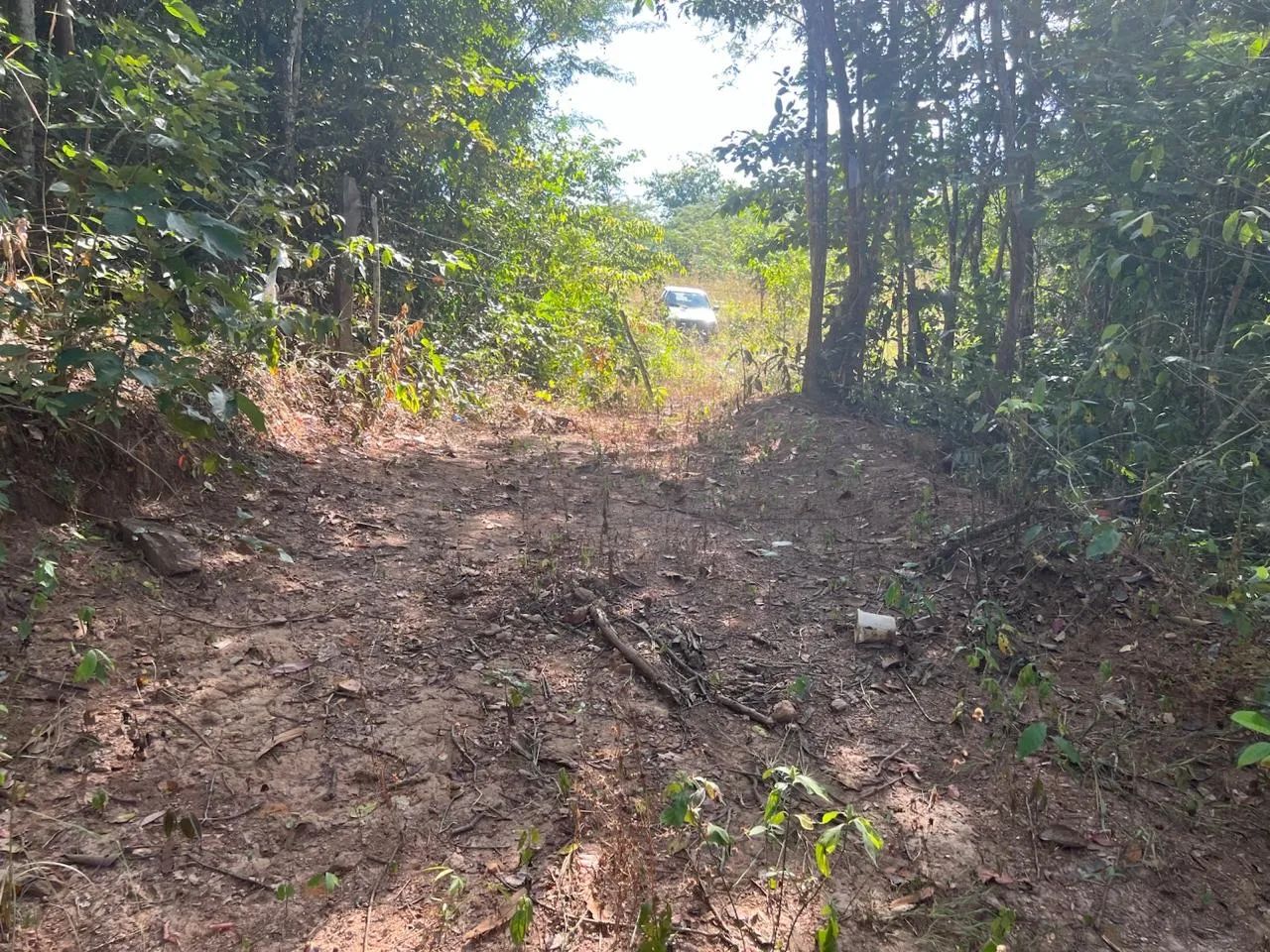 Fazenda em Niquelândia - Foto 3