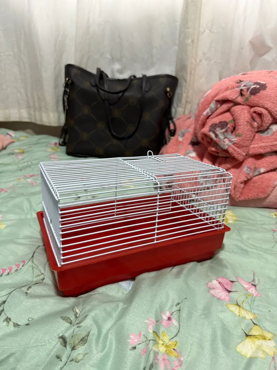 Vendo terrário e utensílios para roedores!  - Foto 4