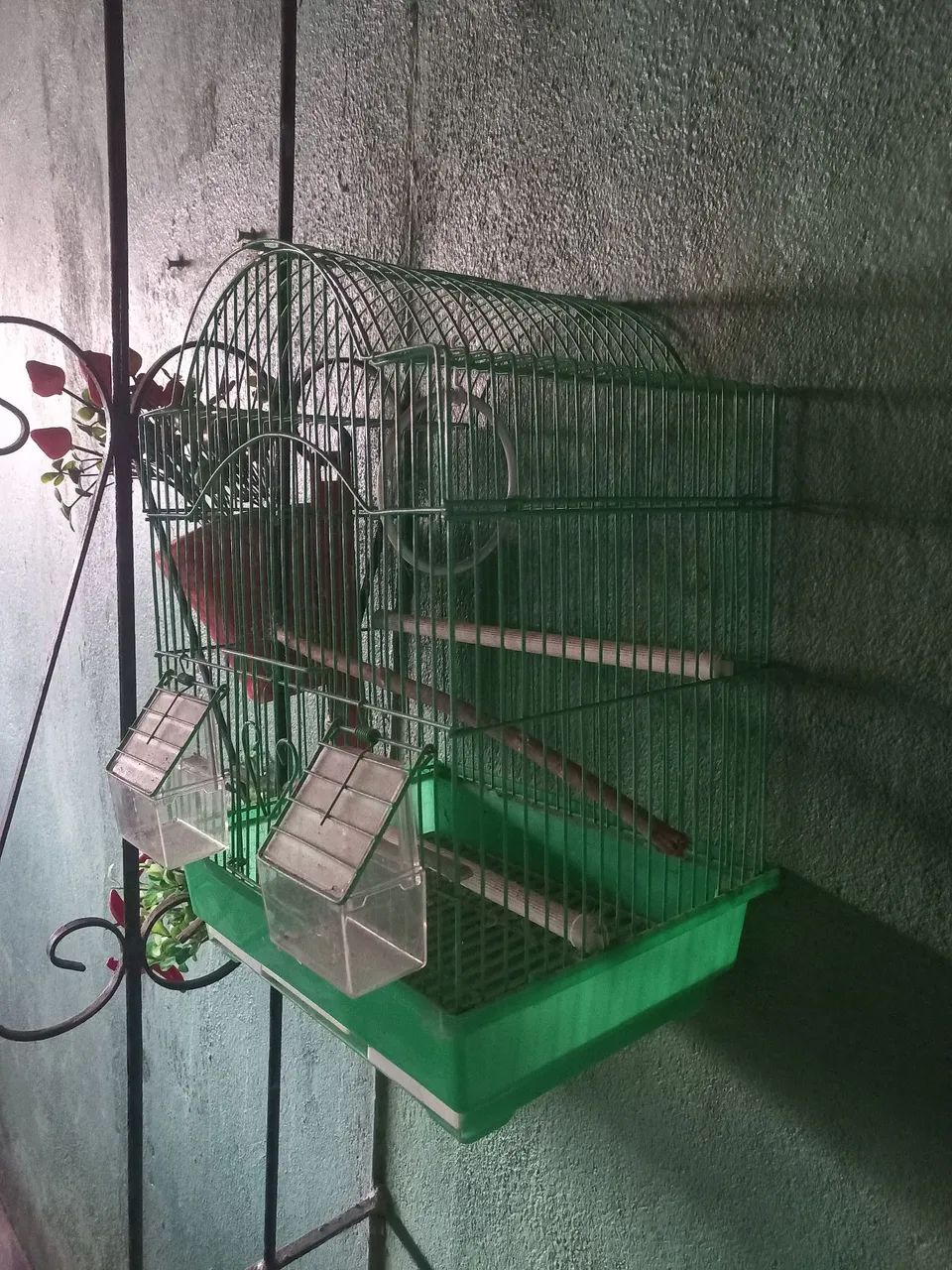 Gaiola  - Foto 2