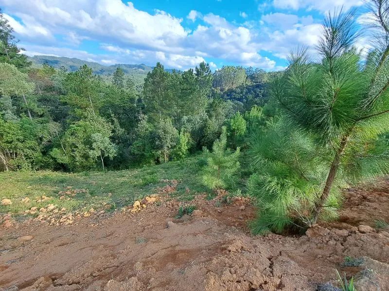 Lote rural DOUTOR PEDRINHO - SC - Foto 4