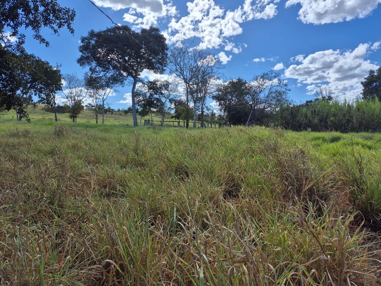 Fazenda beira do Rio Palmas Paranã to 5 alqueires - Foto 4