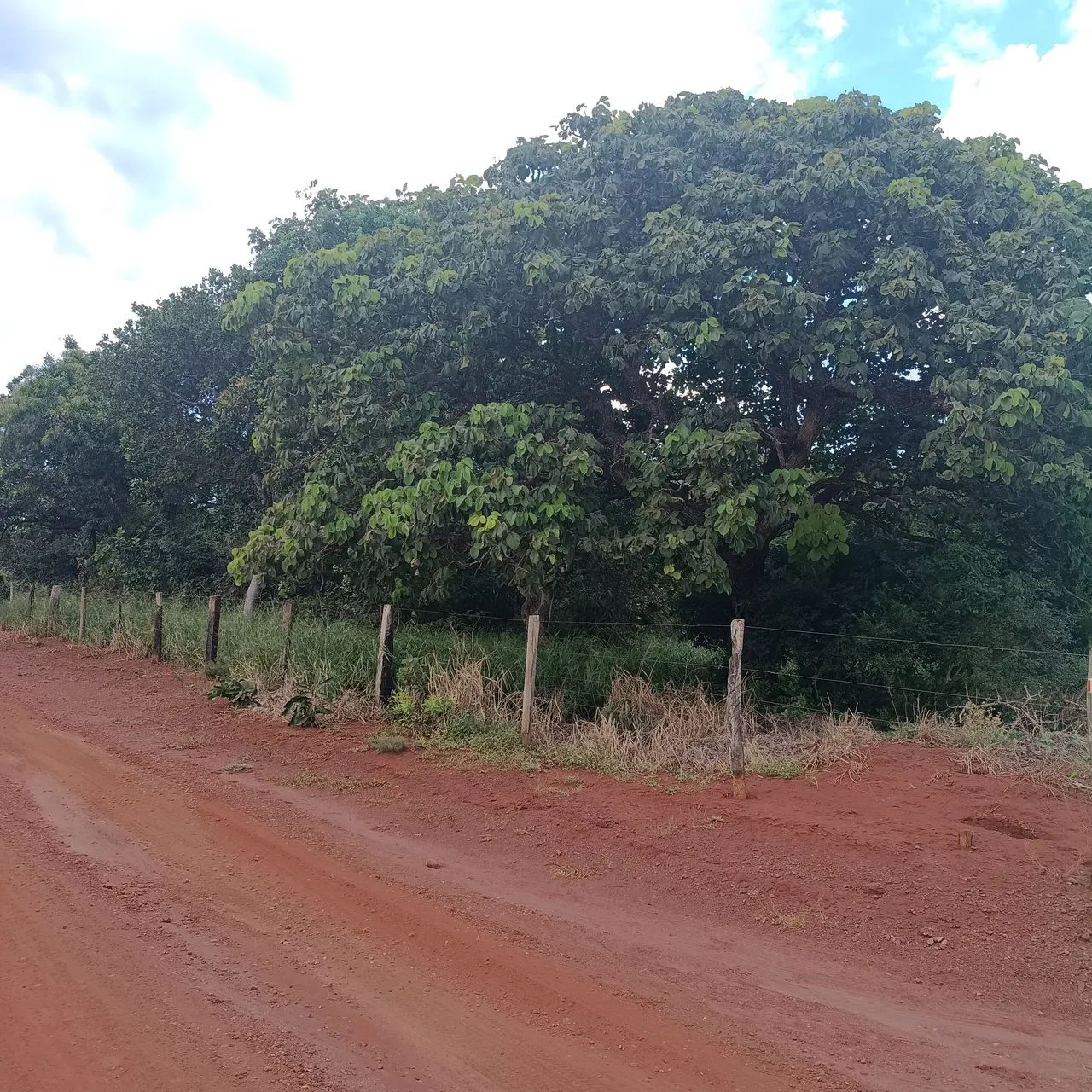 Excelente chácara  - Foto 5