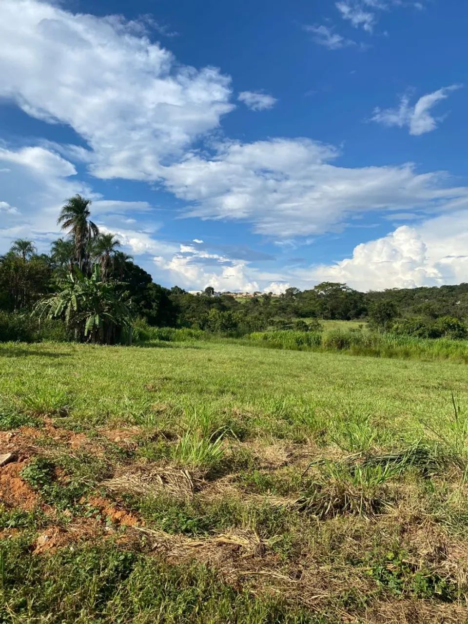 Foto - Hidrolândia - 